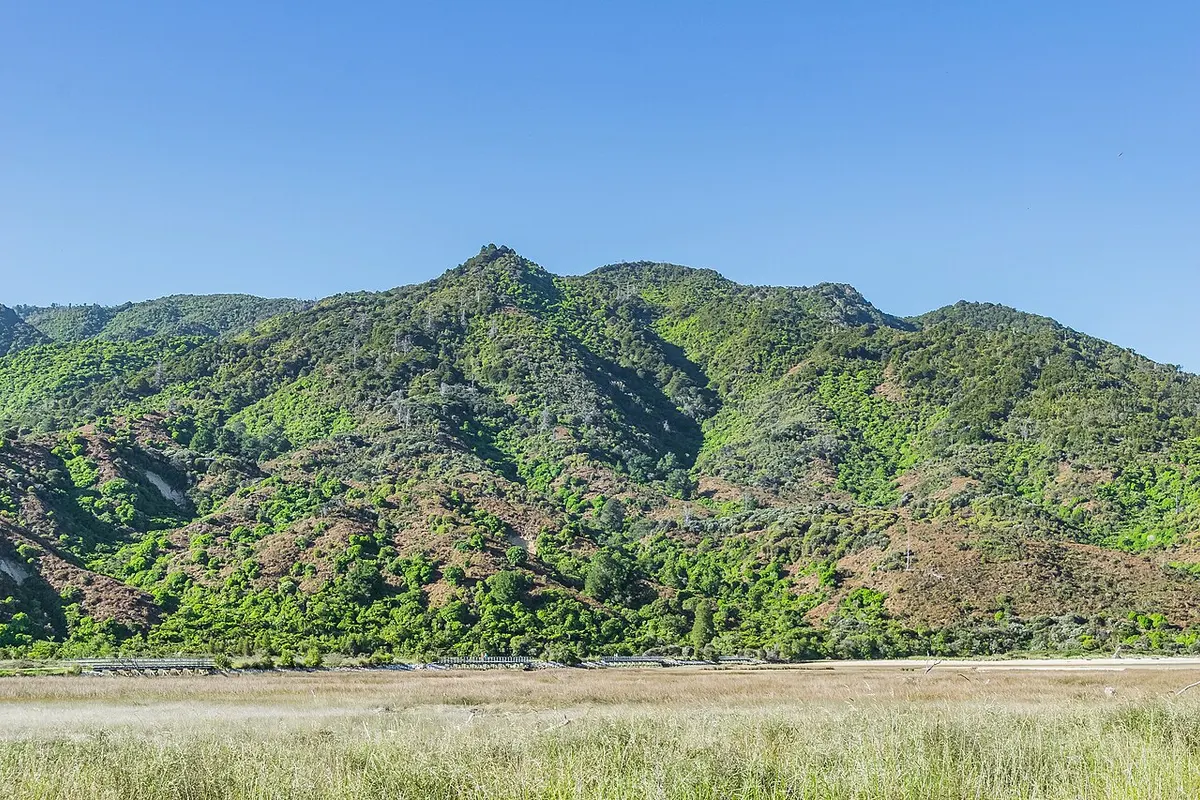 Abel Tasman landscape