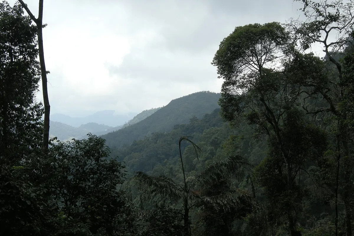 Cameron Highlands landscape