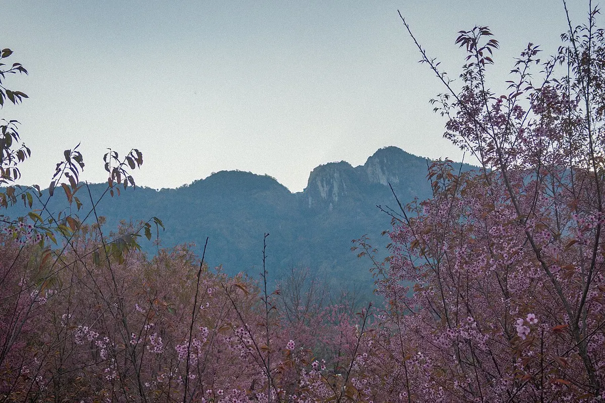 Doi Inthanon landscape