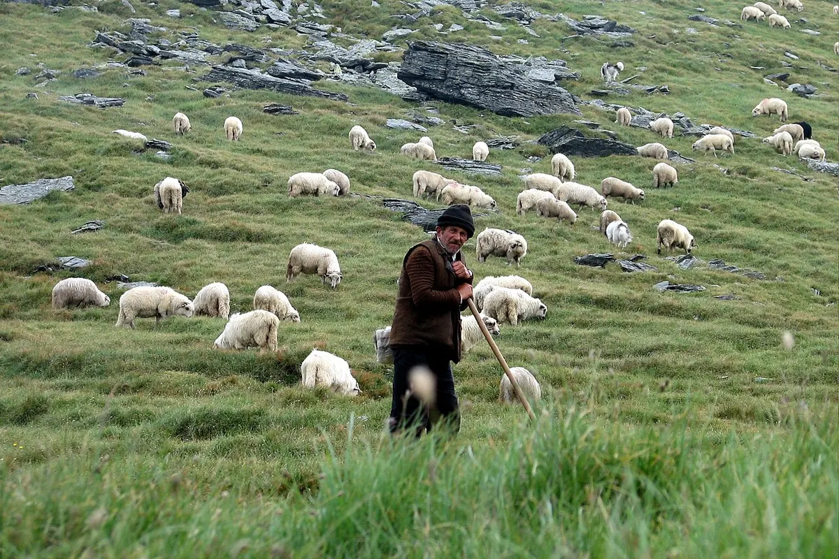 Făgăraș Mountains landscape