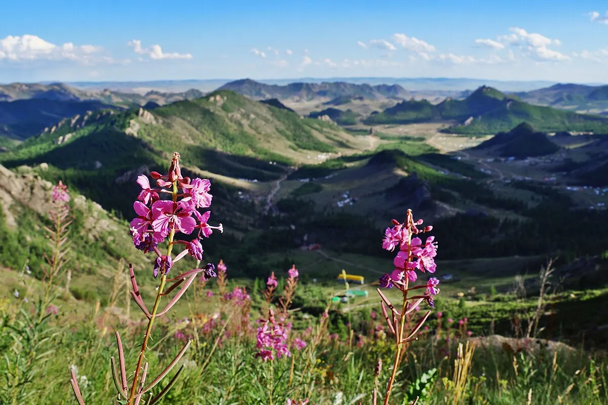 Gorkhi-Terelj landscape