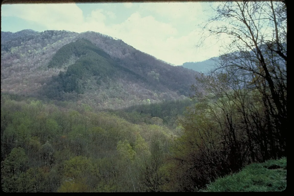 Great Smoky Mountains landscape