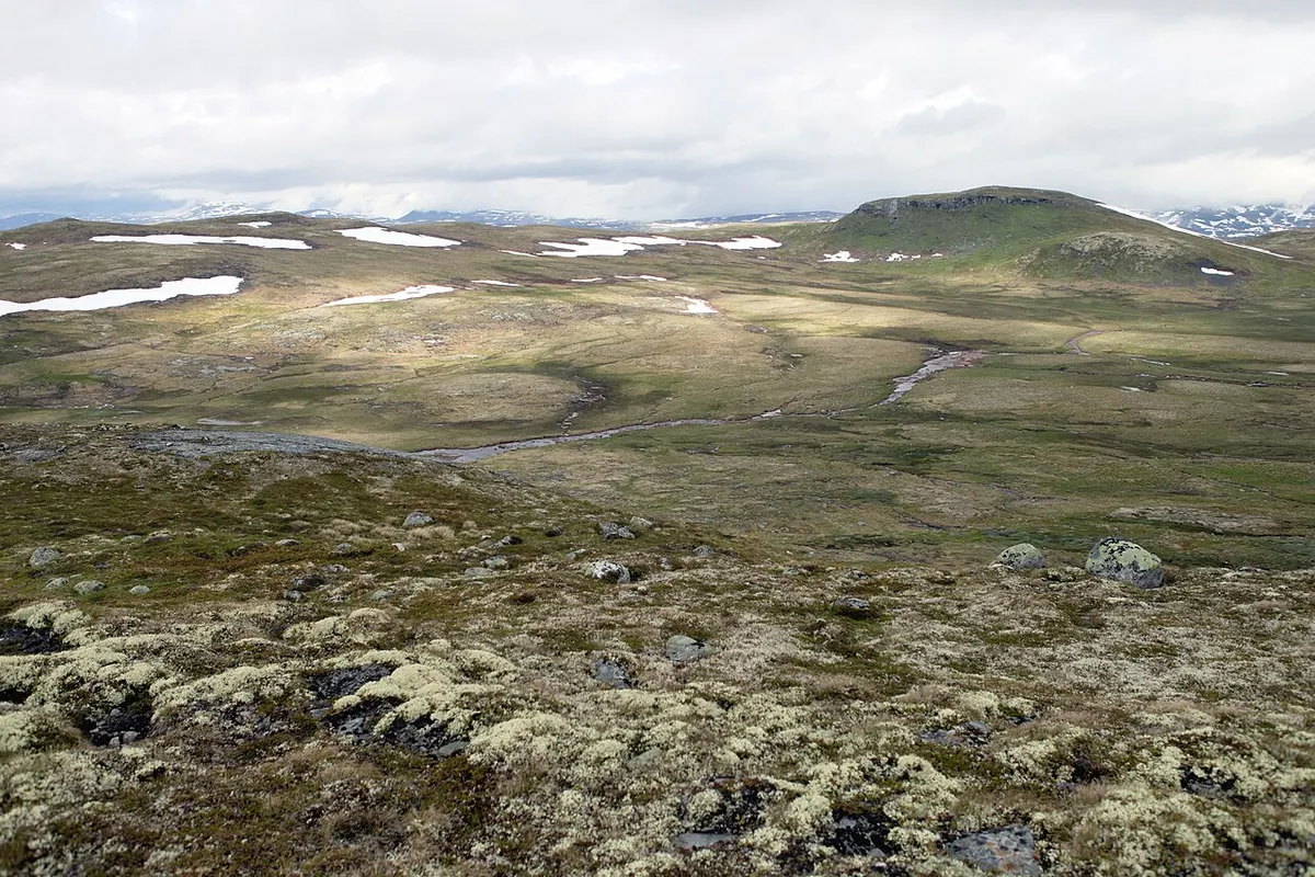 Hardangervidda landscape