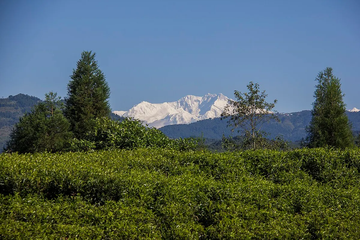 Kanchenjunga landscape