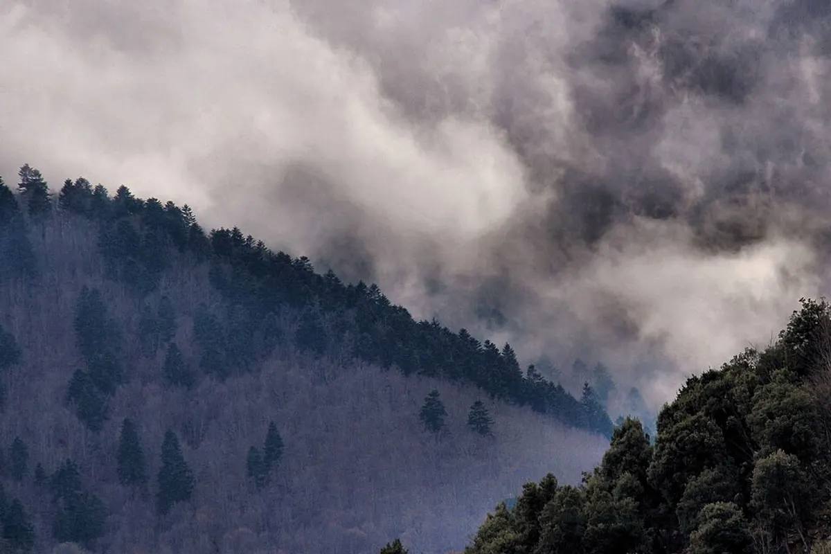 Montseny landscape
