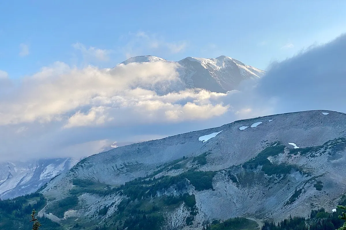 Mount Rainier landscape