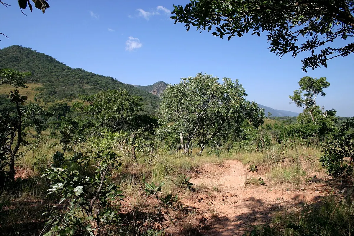 Nyika Plateau landscape