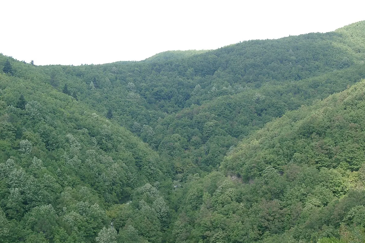 Pindus landscape