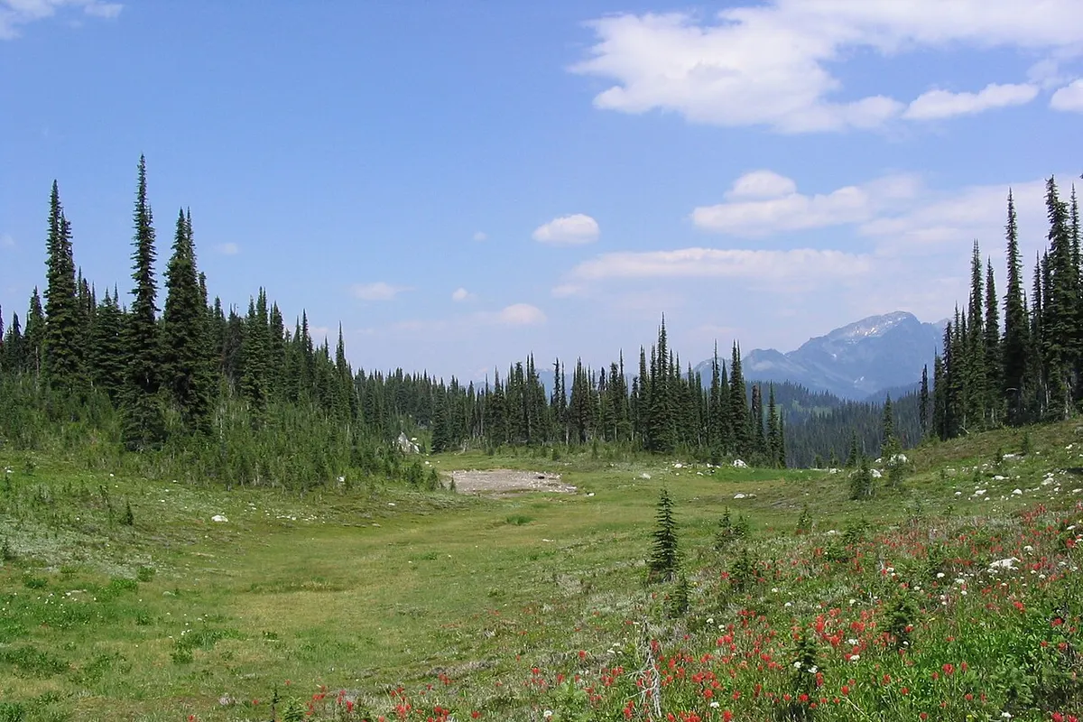 Revelstoke landscape