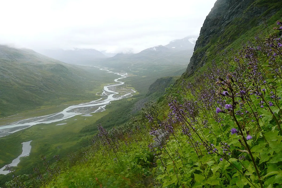 Sarek landscape
