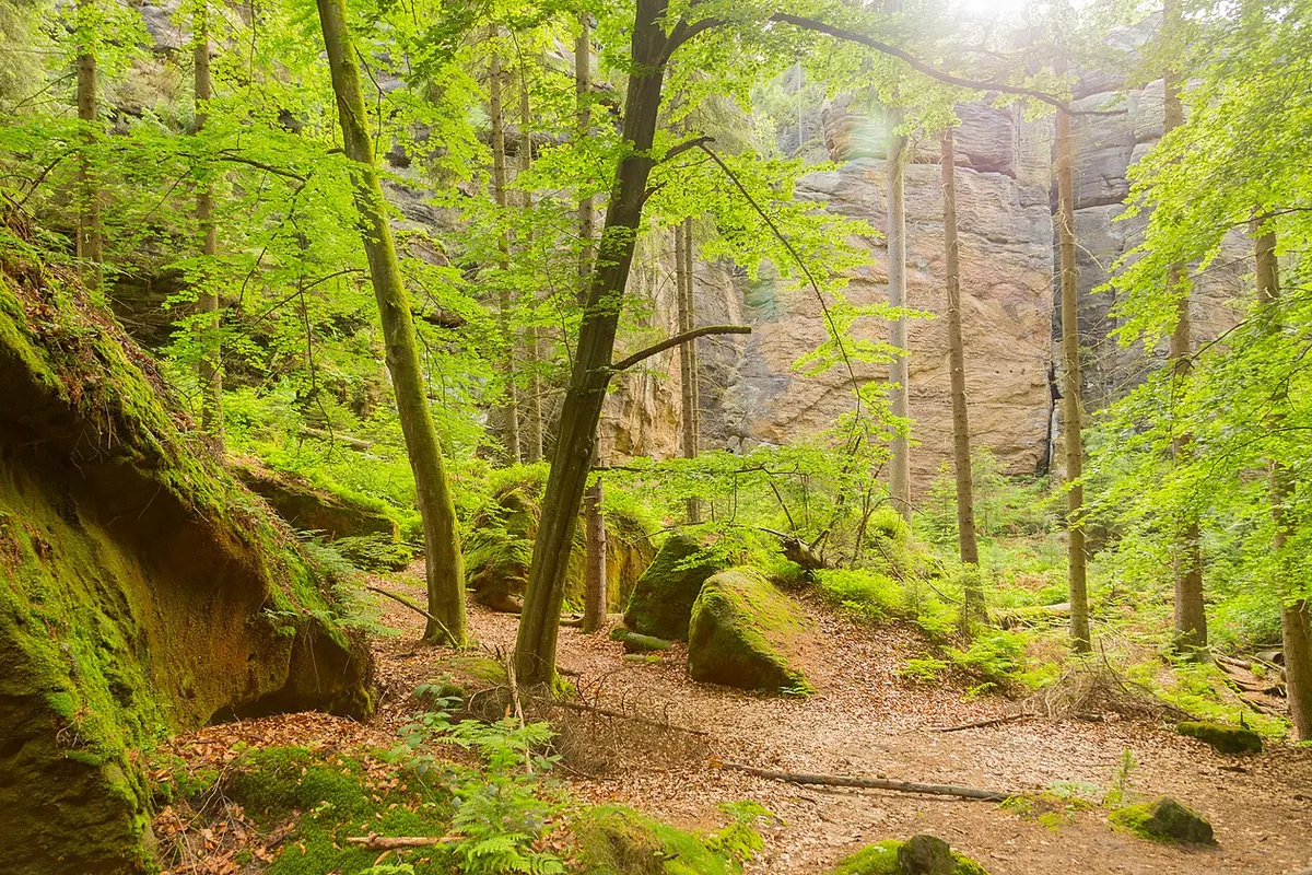 Saxon Switzerland landscape