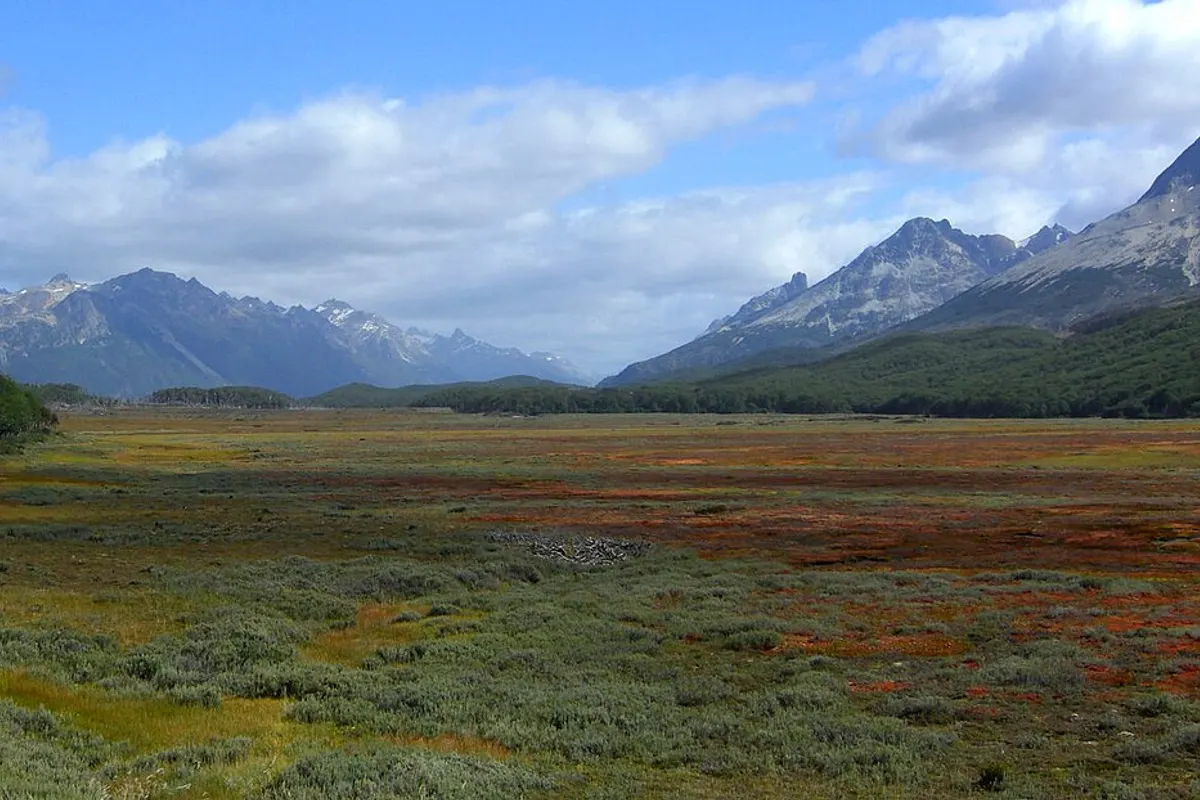 Tierra del Fuego landscape