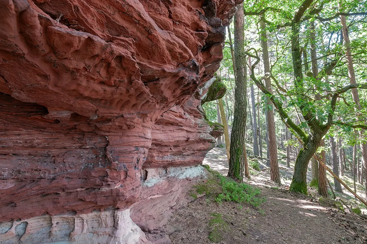 Vosges landscape