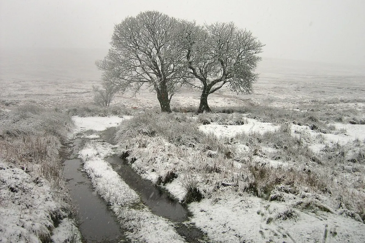 Wicklow Mountains landscape