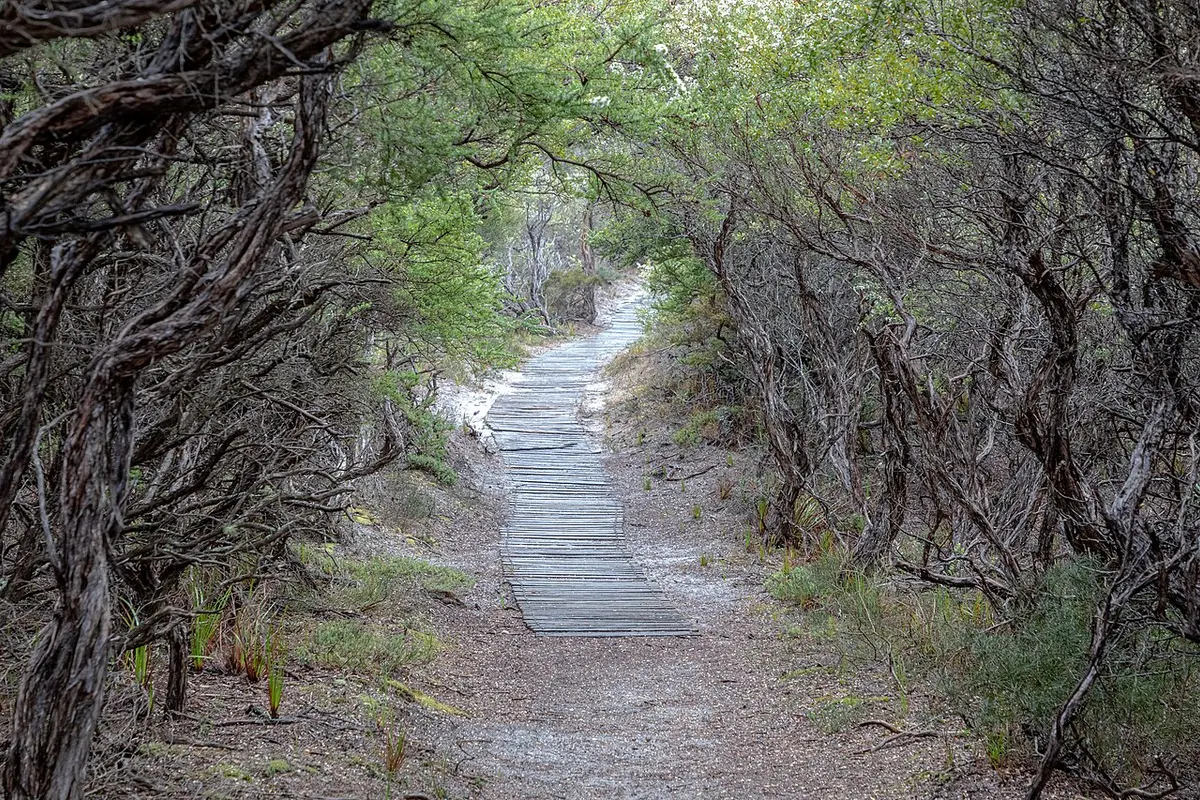 Wilsons Promontory landscape